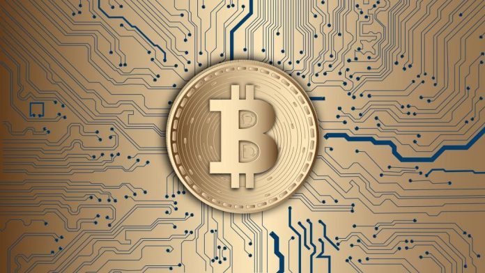 Bitcoin Jeder fünfte Deutsche hat Interesse am Einsatz der Kryptowährung